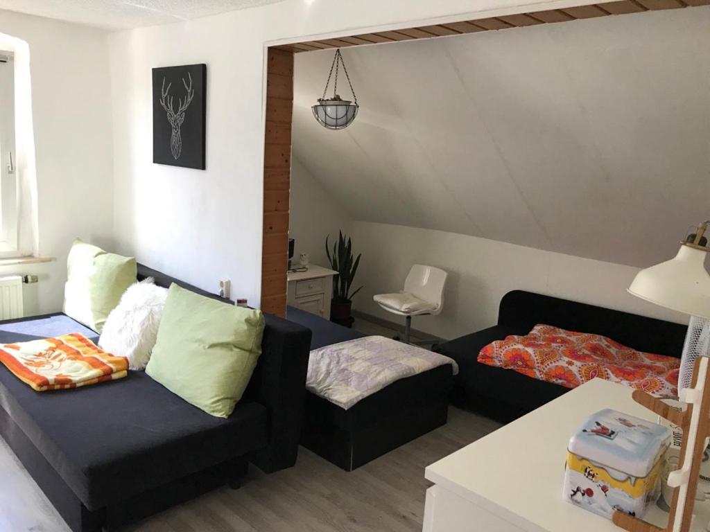 Ferienwohnung Im Einfamilienhaus, Automobil Und Robert Schumann Stadt Zwickau Buitenkant foto