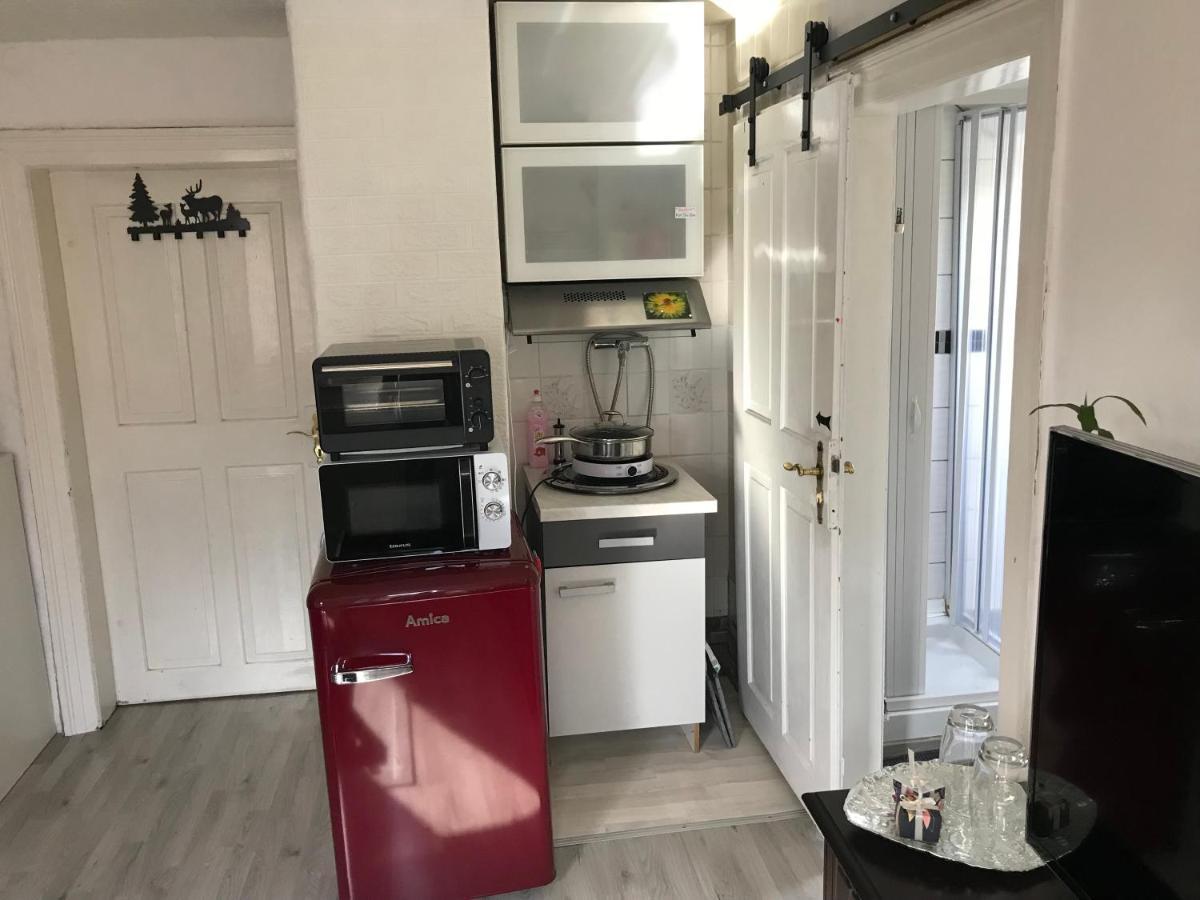 Ferienwohnung Im Einfamilienhaus, Automobil Und Robert Schumann Stadt Zwickau Buitenkant foto
